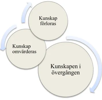 Figur 8 Beskrivningskategorier av kunskapsförhandlingen  