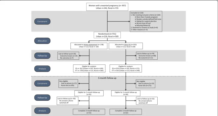 Fig. 1 Study flow diagram. Flow diagram of the RCT showing enrolment, allocation to home-assessment ( n = 378) or clinic follow-up (n = 353) group, the 2-week follow-up and analysis followed by the 3-month follow-up and analysis ( n = 114)