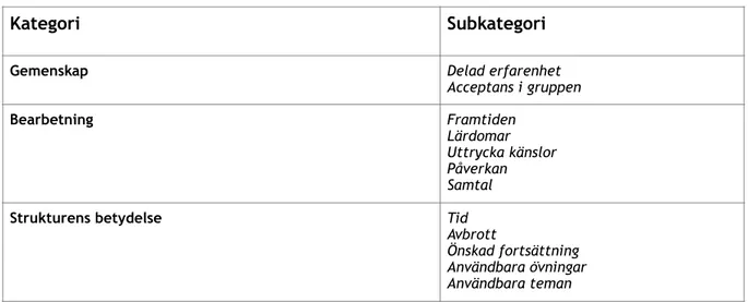 Tabell 1: Kategorier och subkategorier 