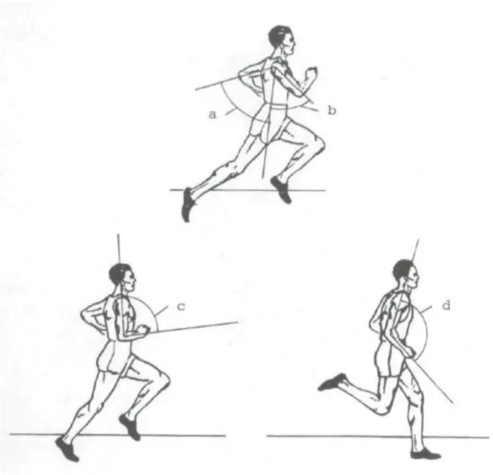 Figur 2. – Kinetiska variabler på överkroppen: (a) = minimal överarmsvinkel. (b) = maximal överarmsvinkel