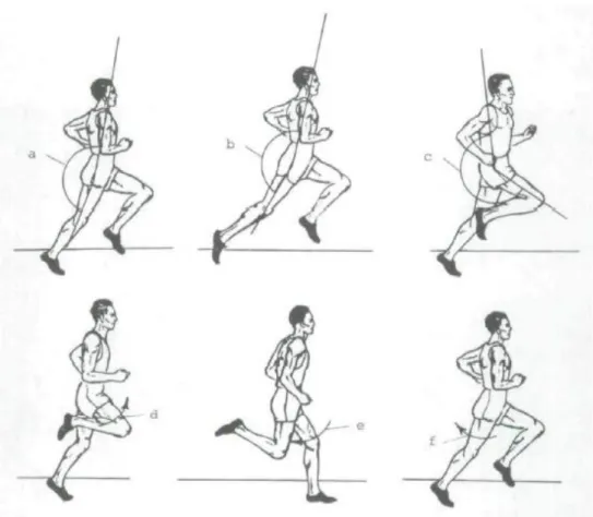 Figur 3. – Kinetiska variabler i övre benet: (a) = övre benvinkel vid fotfrånskjut. (b) = övre benvinkel vid full  extension