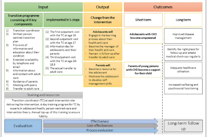 Figure 2.  Logic model of the intervention of the Stepstones project.