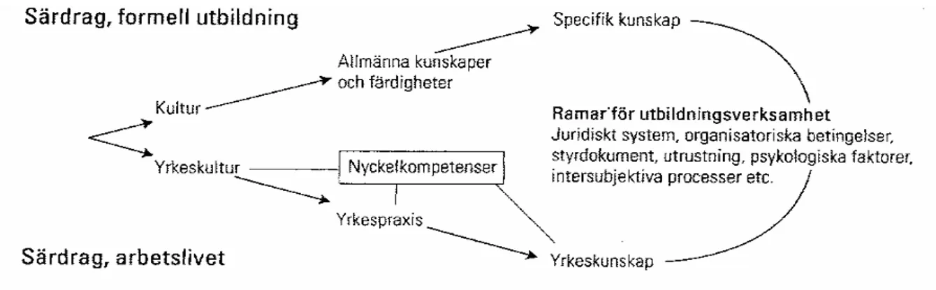 Fig. 1 Särdrag i arbetslivet. (Höghielm. R. 2001 sid.72) 