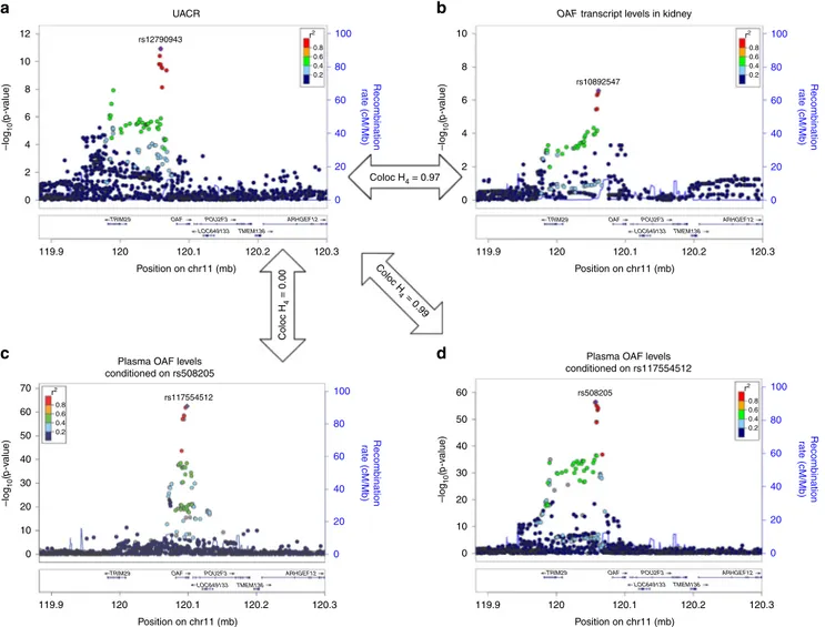 Fig. 7 Co-localization of association signals of the OAF locus. Regional association plots of the OAF locus in the European ancestry urinary albumin-to- albumin-to-creatinine ratio (UACR) GWAS (a), with OAF gene-expression levels in healthy kidney tissue s