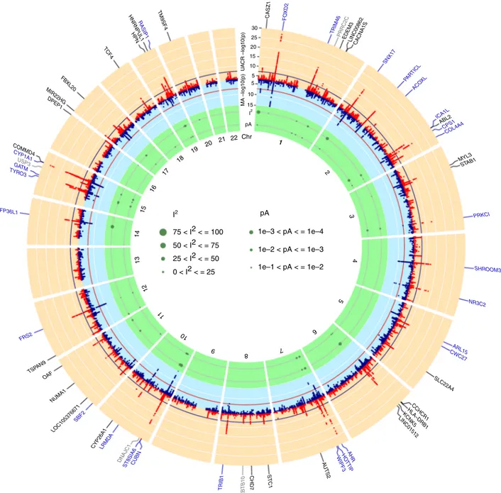 Fig. 1 Genome-wide association results. The circos plot provides an overview of the association results: Red band: –log 10 ( p) for association in the trans- trans-ethnic meta-analysis of urinary albumin-to-creatinine ratio (UACR), ordered by chromosomal p