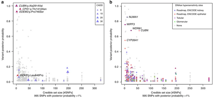 Fig. 5 Fine-mapping and functional annotation of potentially causal variants. Overview of 995 SNPs with a posterior probability of association with urinary albumin-to-creatinine ratio (UACR) of &gt;1%