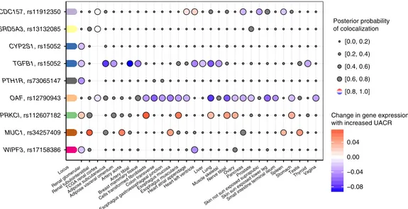 Fig. 6 Co-localization of associations signals for urinary albumin-to-creatinine ratio (UACR) and gene expression in kidney tissues