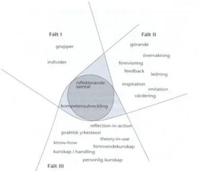 Figur 2 – Handledningens fält (Linden, 2005:13) 