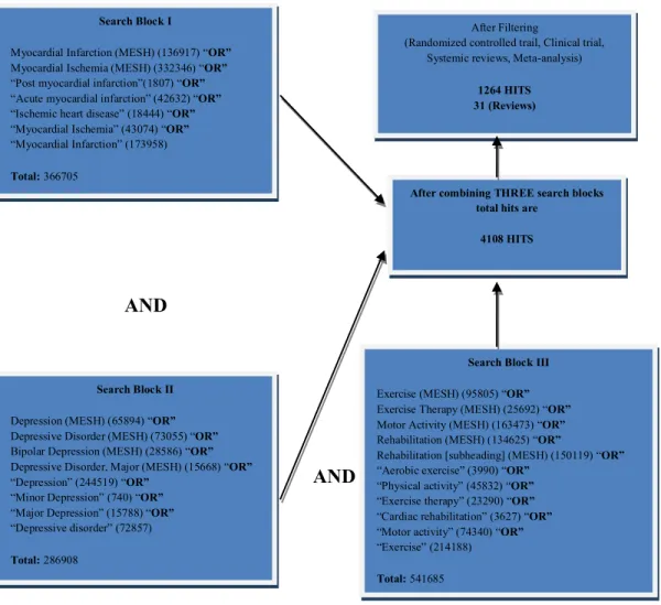 Figure 3: Search strategy in Pubmed database 