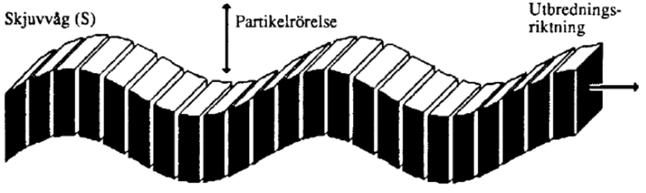 Figur  2.2: Skjuvvågens form och utbredning (Möller et al., 2000). 