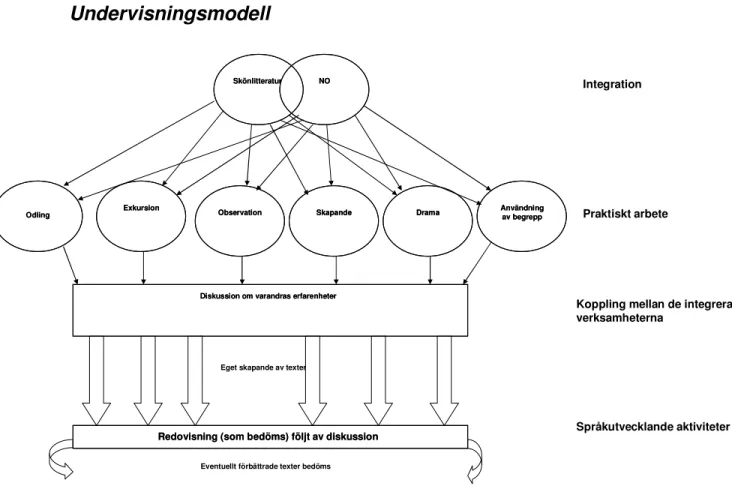 Figur 1 Modell av undervisningsmodell. Inspirerad av Karin Jönsson (2007) tillsammans med kursplanernas mål  och lokal planering