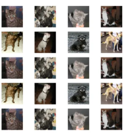 Figure 17: Resulting images from the Cats Vs Dogs dataset by implementing the keras data generator.