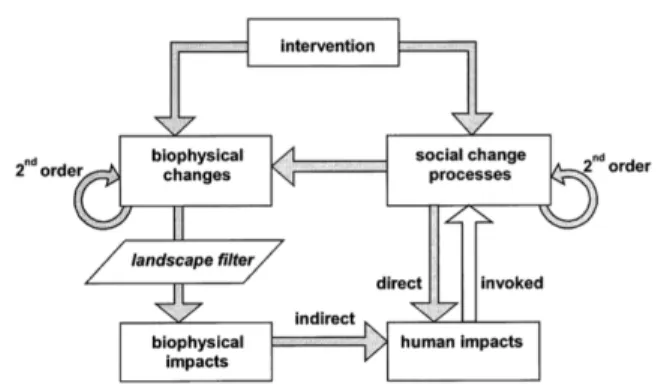 Figur 1. Sociala konsekvenser och sociala  förändringsprocesser. Källa: Vanclay, 2002, s