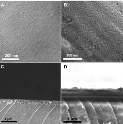 Fig. 2 SEM micrographs showing: a a top view of MT thin ﬁlm formed using P123 as template, b a top view of MT thin ﬁlm formed using P123 + PPG as template, c a  cross-sectional view of MT thin ﬁlm formed using P123 as template, and d a cross-sectional view