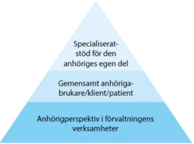 Figur   1:   Malmö   stad,   HVO-­2018-­760.   Hämtad   från   Anhörigas   Riksförbunds   rapport   (Takter  2020:22)