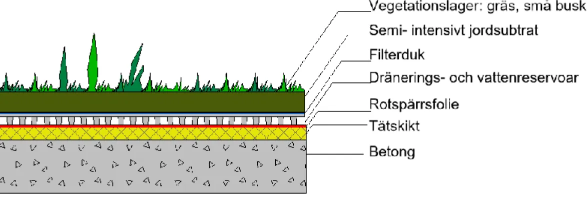 Figur 8 Principskiss som visar ett tvärsnitt sektion av ett semi-intensivt grönt tak 