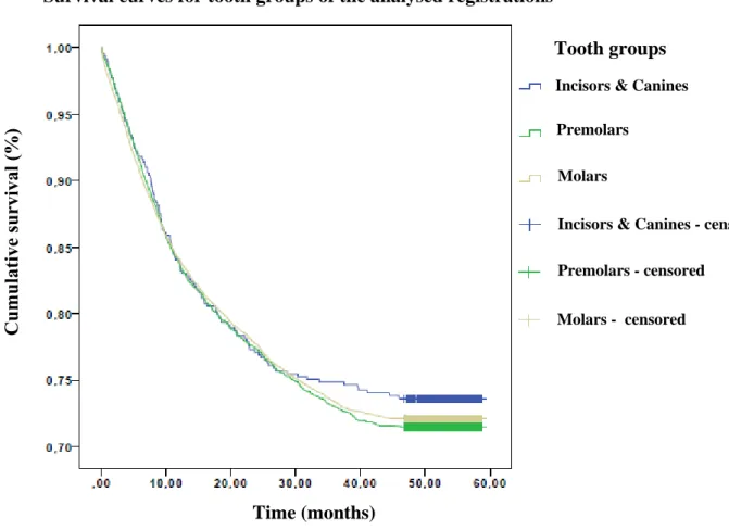 Diagram 3. Cumulative survival of the analysed stepwise caries removal registrations in  relation to time in months for tooth groups plotted as a function with the aid of Kaplan-Meier  and including censored data
