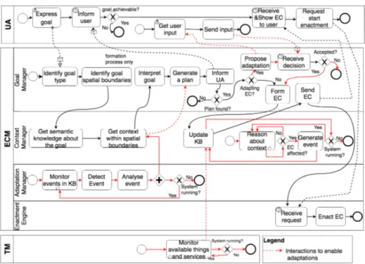 Fig. 2: ECs formation and adaptation process