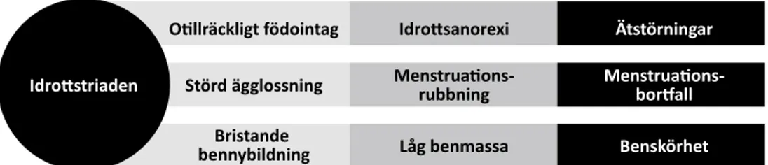 Figur 1. Symtomutveckling av idrottstriaden, det vill säga ätstörningar, menstruations- menstruations-bortfall och benskörhet.