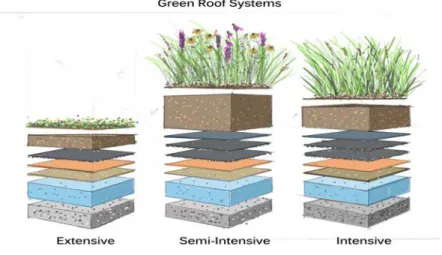 Figure 1.2 above illustrates the three types of green roofs in green roof systems developed by   The focus of the research falls on the extensive green roof technology because they are applied  widespread and require less maintenance