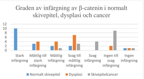Figur  1  Visar hur graden av infärgning förhåller sig mellan normalt skivepitel,  dysplasi  och  cancer