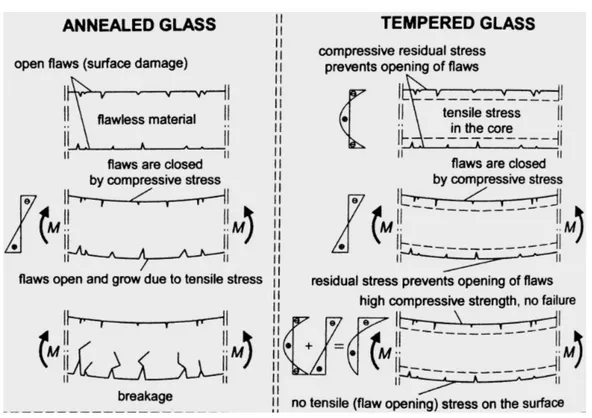 Figur  8  Typiskt  sprickmönster  för  härdat glas vid brott (Haldimann, 2008) 