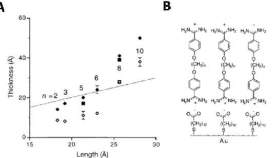 Figure 7. Rinse stability of bisbenzamidine, α,ω-bis(4-amidinophenoxy(alkanes,  n  = 2-10) rSAMs