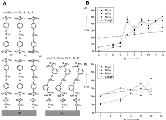 Figure 8. Odd even effect of para- or meta-substituted bisbenzamidine, α,ω- α,ω-bis(3- or 4-amidinophenoxy(alkanes, n  = 3-12)) rSAMs