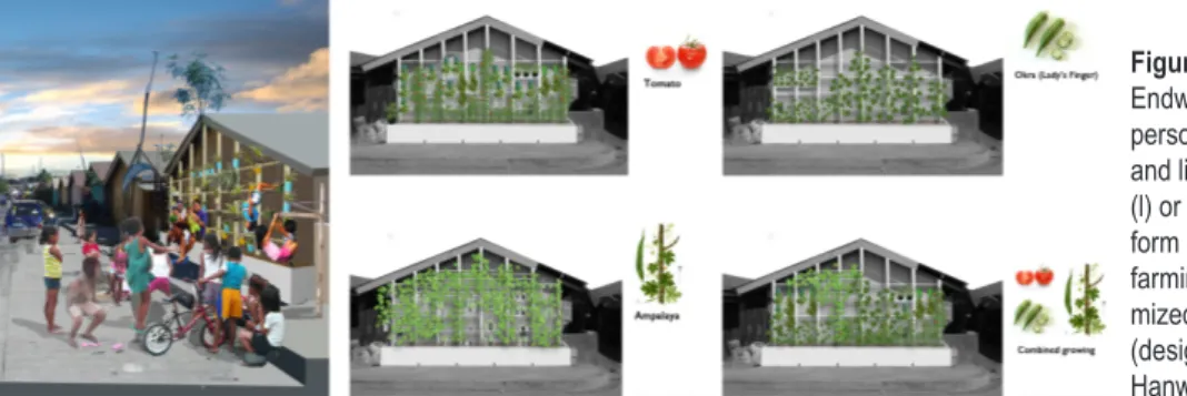 Figure 4.  Endwall as a  personal garden  and living space  (l) or an optimized  form of urban  farming with  maxi-mized yield (m/r)