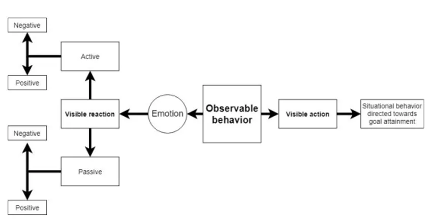 Figure 2: Observable Behavior. 