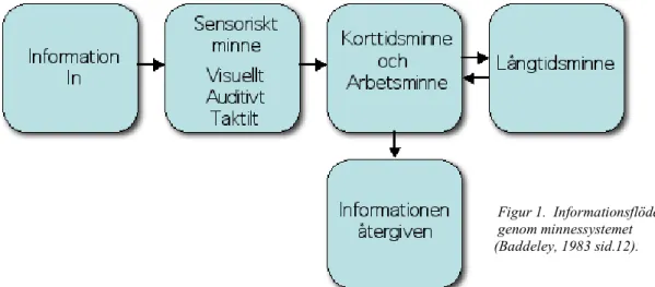 Figur 1.  Informationsflödet   genom minnessystemet                       (Baddeley, 1983 sid.12).