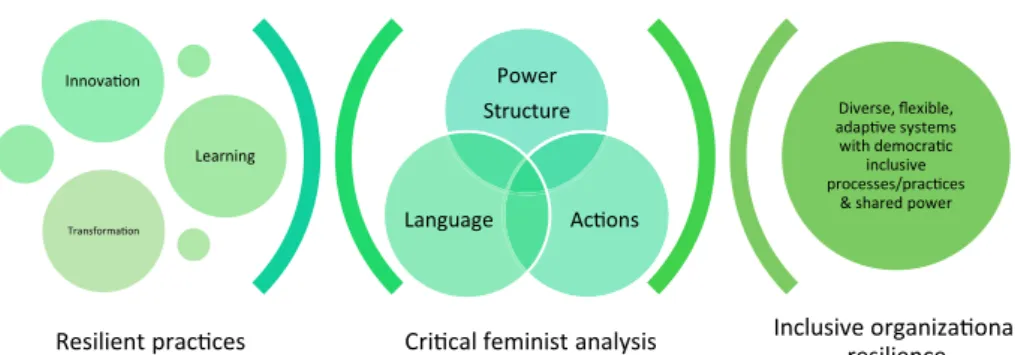 Figure 1. Illustration of the  3-step process using the DOR modelCrical feminist analysisInclusive organizaonal 