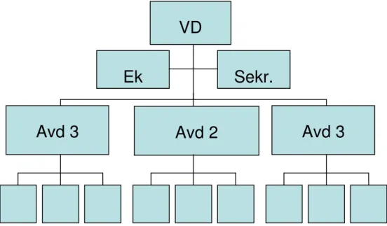 Figur 1: Exempel på linje-stabsorganisation 