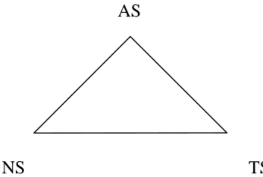 Figur 1. Modell som visar samband mellan nuvarande situation (NS), den tänkbara  situationen (TS) och den arrangerade situationen (AS)