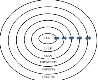 Figur 1. Sex-Cs utvecklingsekologiska modell modifierad efter The Six-Cs developmental  ecological model (Harrison m.fl., 2011)