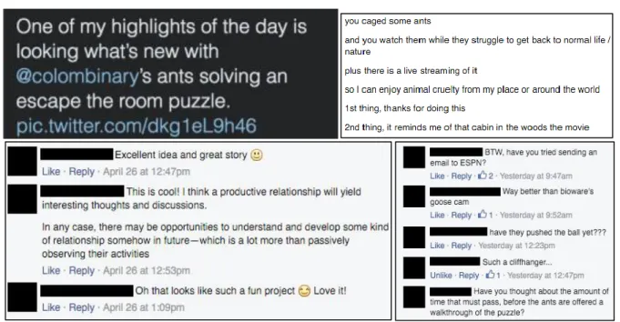 Figure  6:  some  of  the  online  reactions  on  the  livestream  of  the  ants  interacting  with  the  five  different  prototypes