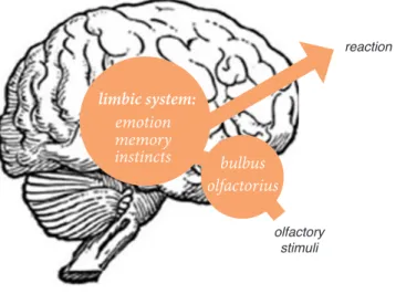 Figure 2: Simplified model of the cognitive process in the brain according to the processing of a  visual, acoustic and olfactory stimuli (figure created by author)