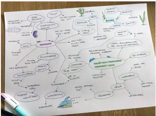 Figur 12: Mindmapping från samtal med representant från Marint Kunskapscenter Malmö, 2020 (Foto: Andersson, 2020)