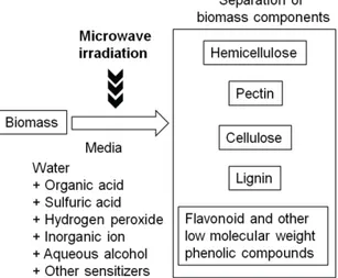 Figure 4. Concept of microwave irradiation of lignocellulose.[5] 