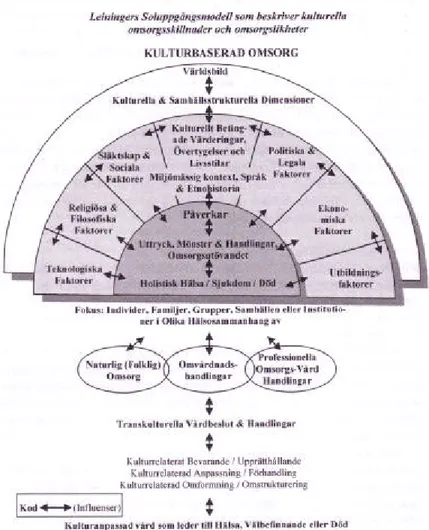 Figur 2. Leiningers Sunrise-modell, enligt Leininger (2001) i Gebru (2003, s 11)  Leininger menar att sjukvårdpersonalen kan välja mellan tre strategier för att nå  målet med transkulturell omvårdnad