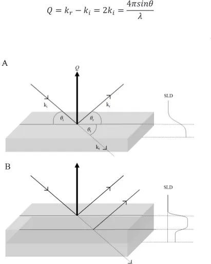 Figure 6. Reflectometry scattering principle and accompanying SLD profiles. Reflec- Reflec-tion and refracReflec-tion occur depending on the structure of the interface, hereby described  by SLD profiles