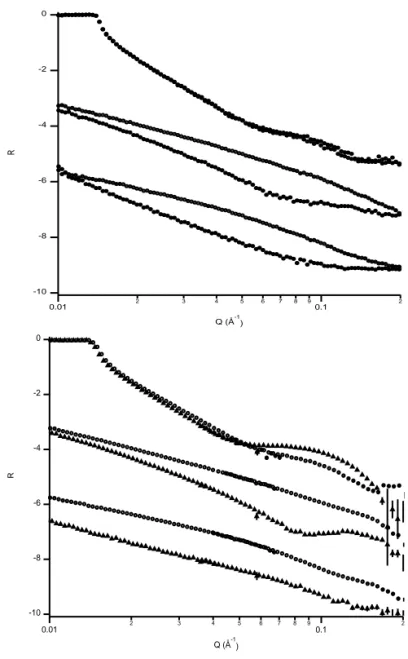Figure 13. Preliminary NR data for ApoA1-rHDL made with POPC (top) or DMPC  (bottom) against DMPC SLBs