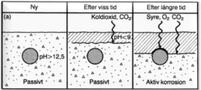 Figur 11 En illustration över korrosionsangrepp p.g.a. kloridinträngning (Burström, 2007) 
