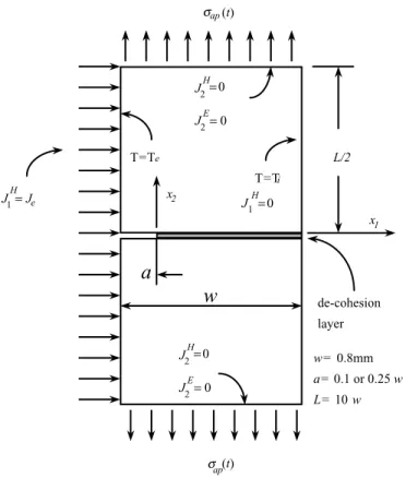 Fig. 6. Boundary value problem for the simulation of hydrogen embrittlement of a Zircaloy-2 cracked plate under tension and temperature gradient