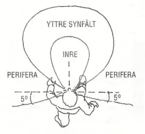 Figur 1. Synfält, Källa:  Månsson (2002), s. 65