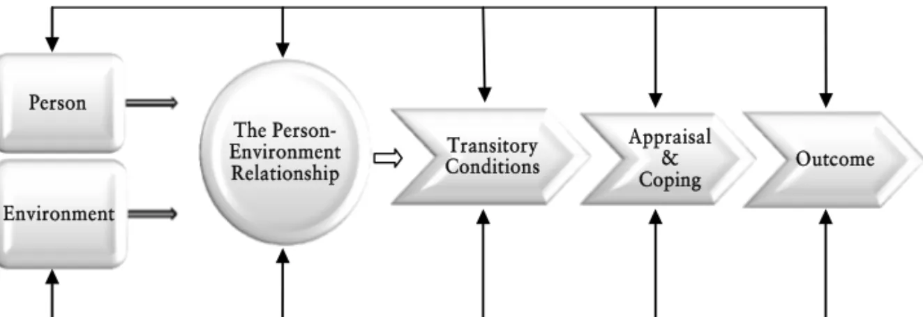 Figure 1: Overview of the Person-Environment Relationship (based on Lazarus, 2006;  Moos, 2002)