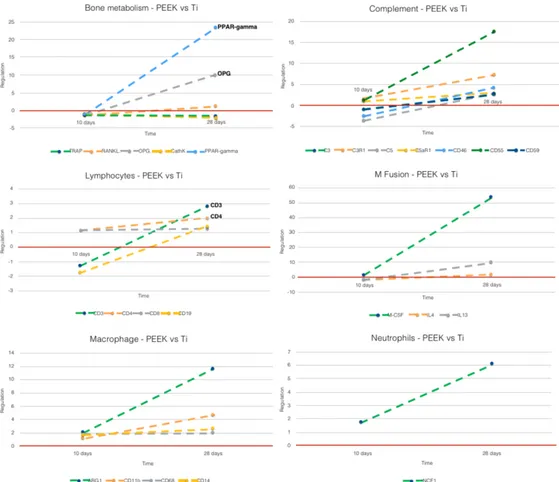 Figure 7. Comparative analysis of gene expression between 10 and 28 days for PEEK vs. Ti