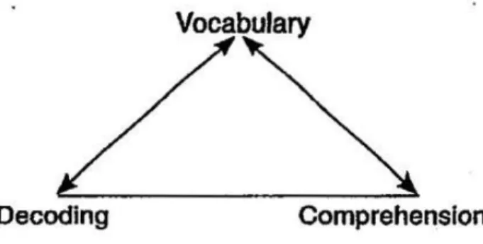 Figur 2: Samband mellan ordförråd och förståelse. 