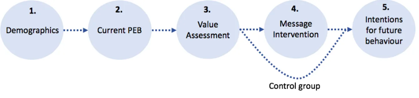 Figure 2. Survey structure 