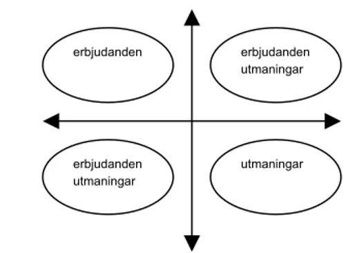 Figur 5: att studera på distans – en upplevelsefigur 